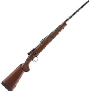 Winchester 22