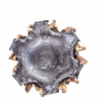 Munição FEDERAL Train + Protect 380 AUTO VHP 85 Grains – Cx 504