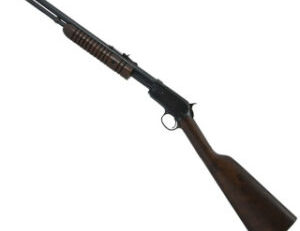 winchester 22